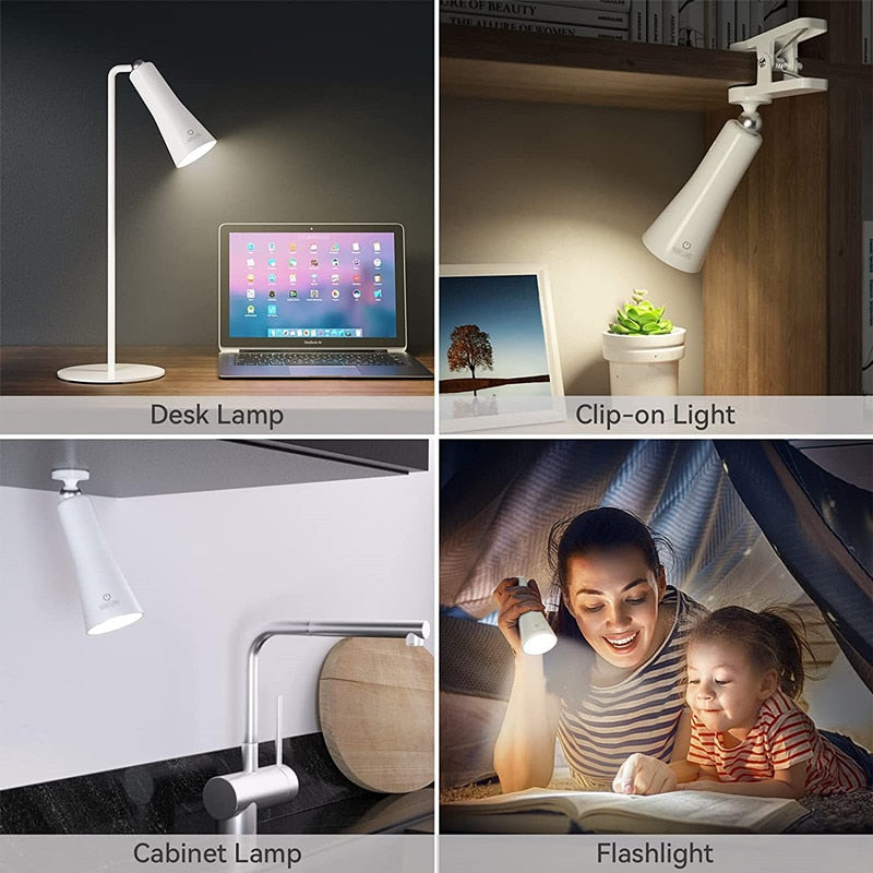 Portable Desk Lamp